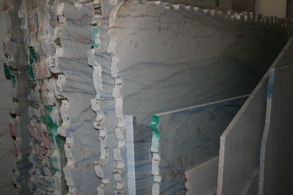 viola sororia biene (11)