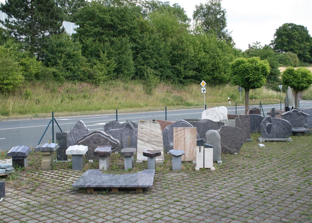 viola sororia biene (11)