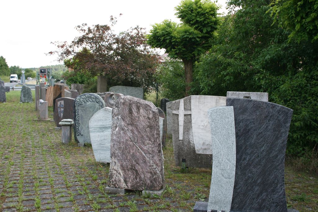 viola sororia biene (11)