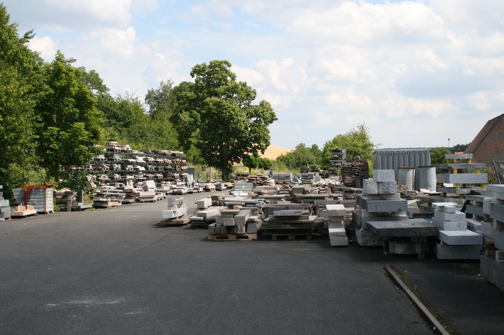 viola sororia biene (11)